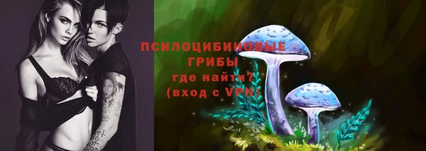 хмурый Богданович